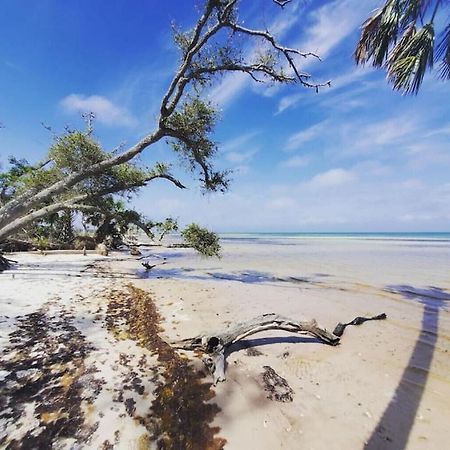 Tortuga Tillys Cape San Blas Dış mekan fotoğraf