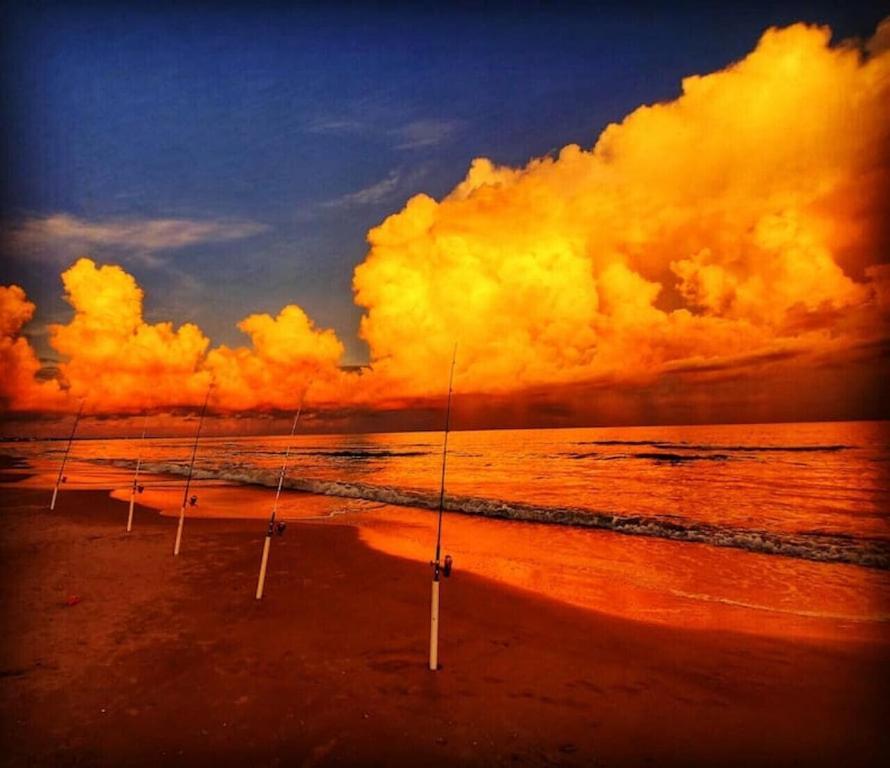 Tortuga Tillys Cape San Blas Dış mekan fotoğraf