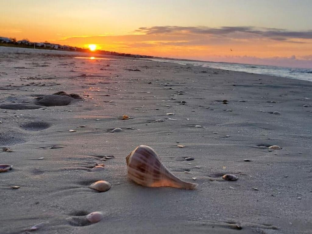 Tortuga Tillys Cape San Blas Dış mekan fotoğraf