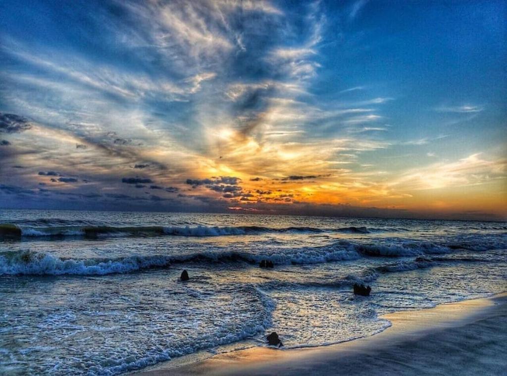 Tortuga Tillys Cape San Blas Dış mekan fotoğraf
