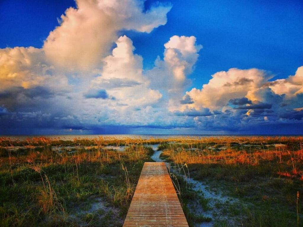 Tortuga Tillys Cape San Blas Dış mekan fotoğraf