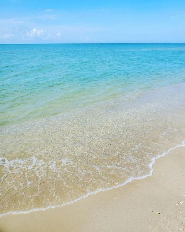 Tortuga Tillys Cape San Blas Dış mekan fotoğraf