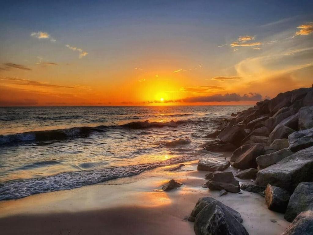 Tortuga Tillys Cape San Blas Dış mekan fotoğraf